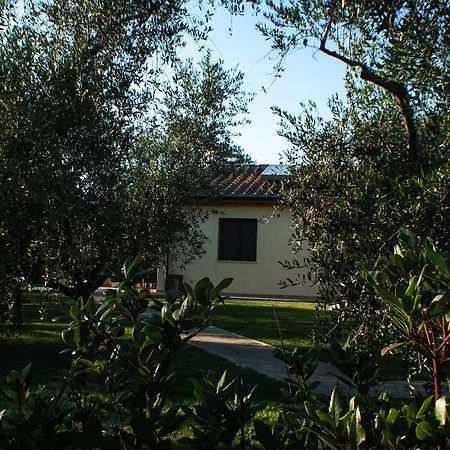 Agriturismo Dallolivo Больгері Екстер'єр фото